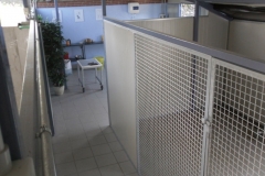 SDC12850 (FILEminimizer)